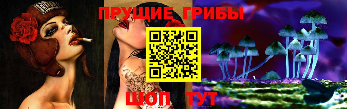 Псилоцибиновые грибы Cubensis  Вход с VPN  Саянск 